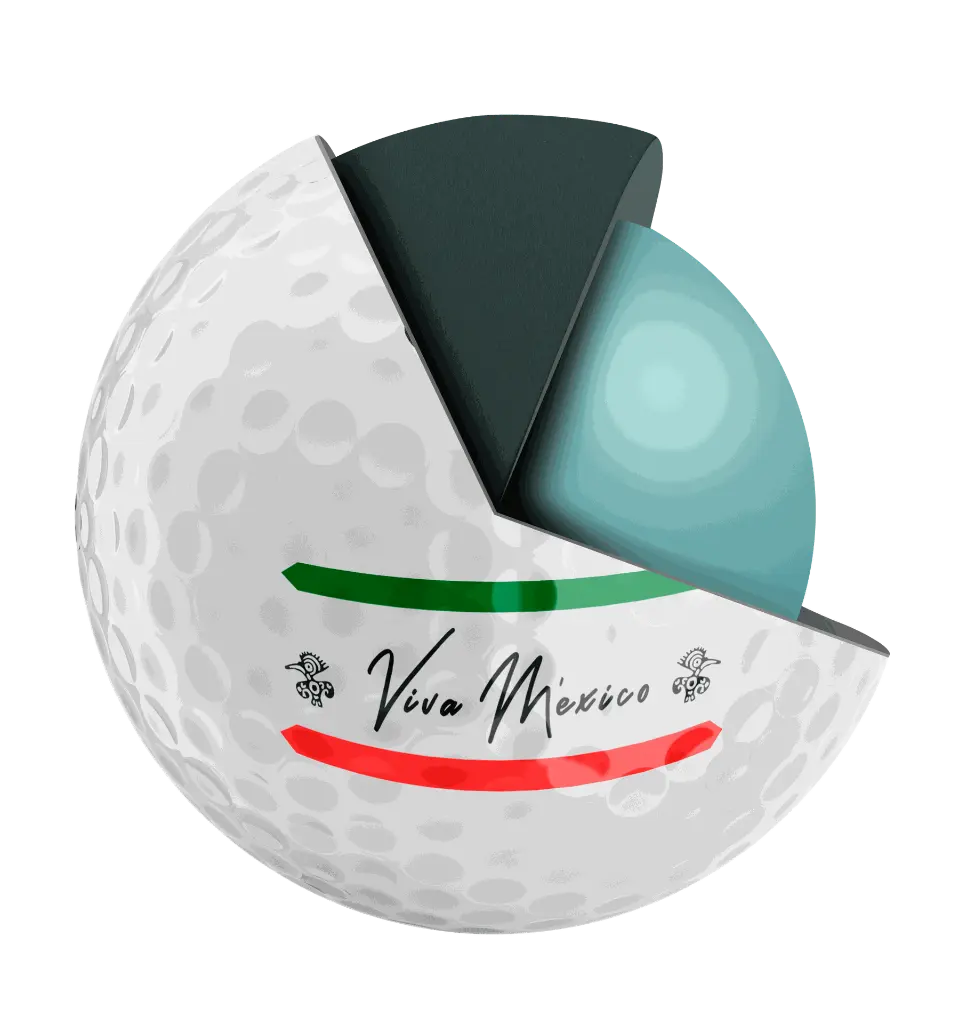 VivaMexicoInterior (Custom).webp